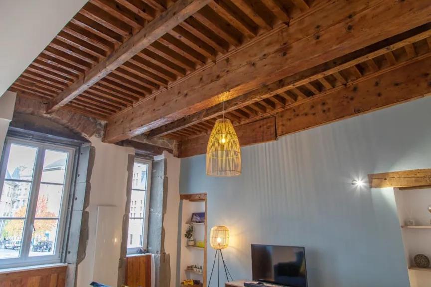 格勒诺布尔Lannexe Du Petit Palais公寓 外观 照片